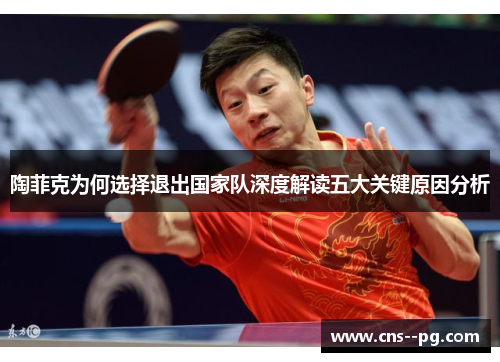 陶菲克为何选择退出国家队深度解读五大关键原因分析